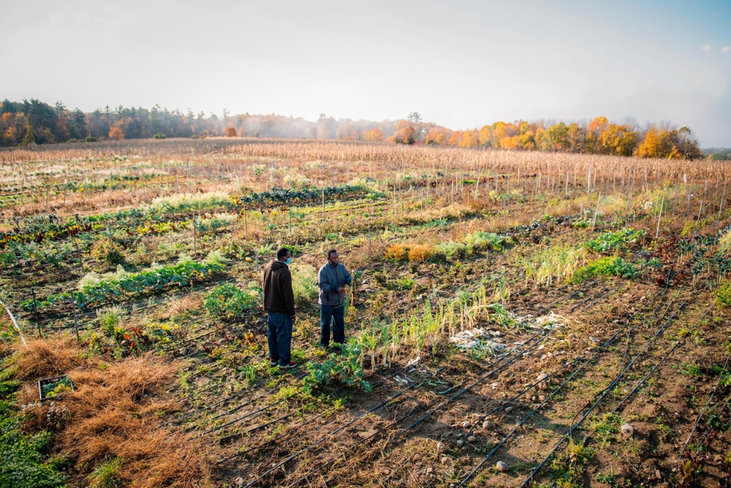 Two Somali Bantu farmers discuss crops in expansive autumn field