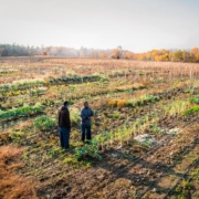 Two Somali Bantu farmers discuss crops in expansive autumn field
