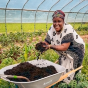 Smiling Somali Bantu woman prepares compost in lush greenhouse garden