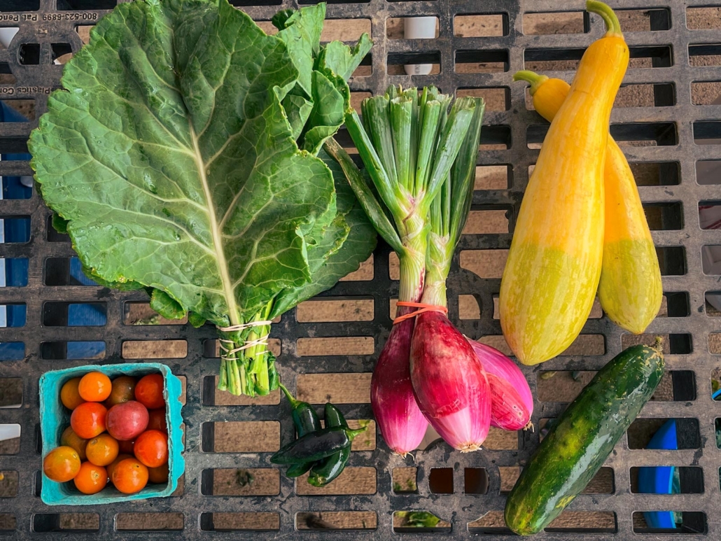 Colorful farm-fresh vegetables displayed beautifully on black harvest crate - Copy