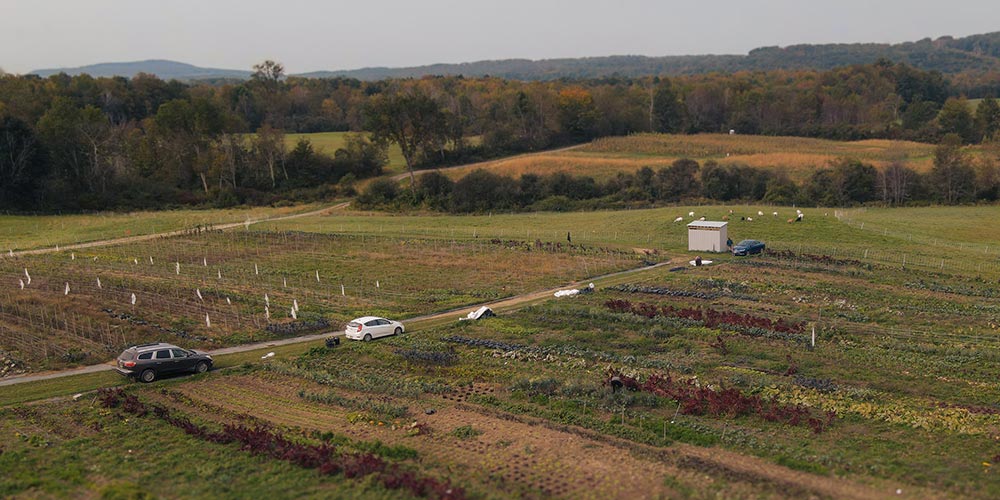 Lush Somali Bantu farmland stretches across rolling hills, growing food and opportunity